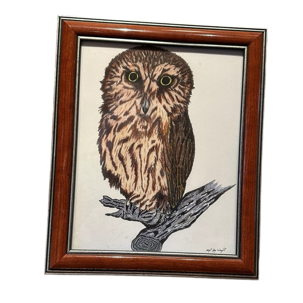 Vt Northern Saw-Whet Owl Real Art Drawing Painting Signed Capt Jay Wright Alaska